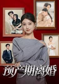 《预产期离婚(2026)》高清海报 免费在线观看