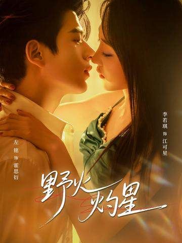 《野火灼星(2026)》高清海报 免费在线观看