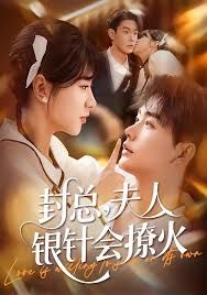 《封总，夫人银针会撩火(2025)》高清海报 免费在线观看