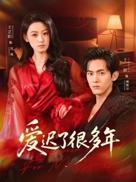 《爱迟了很多年(2026)》高清海报 免费在线观看