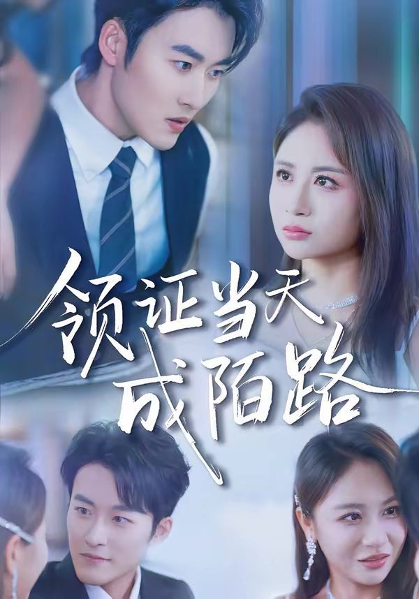 《领证当天成陌路(2026)》高清海报 免费在线观看