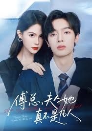《傅总，夫人她真不是凡人(2025)》高清海报 免费在线观看