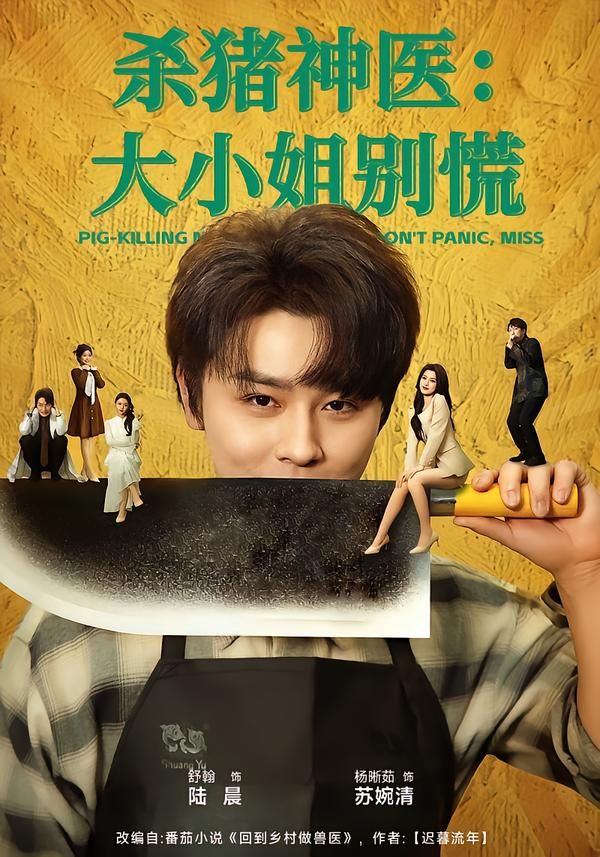 《杀猪神医，大小姐别慌(2026)》高清海报 免费在线观看