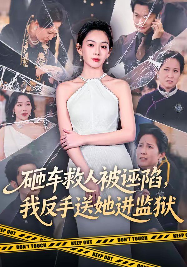 《砸车救人被诬陷，我反手送她进监狱(2026)》高清海报 免费在线观看