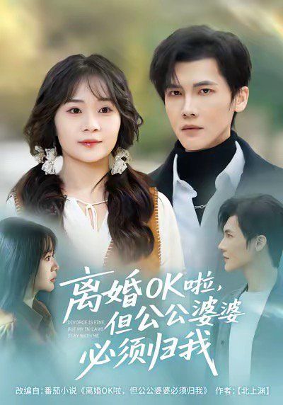 《离婚OK啦，但公公婆婆必须归我(2025)》高清海报 免费在线观看