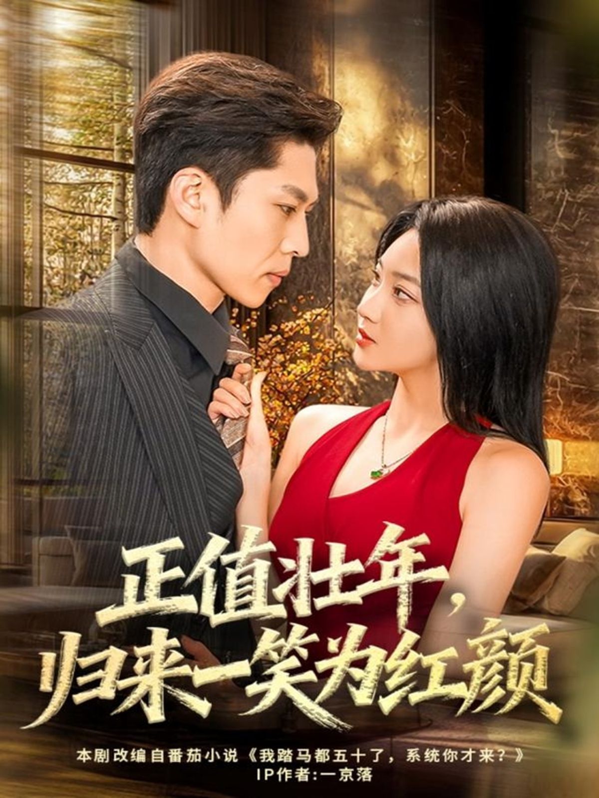 《正值壮年，归来一笑为红颜(2025)》高清海报 免费在线观看