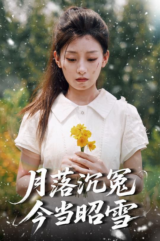 《月落沉冤今当昭雪(2025)》高清海报 免费在线观看