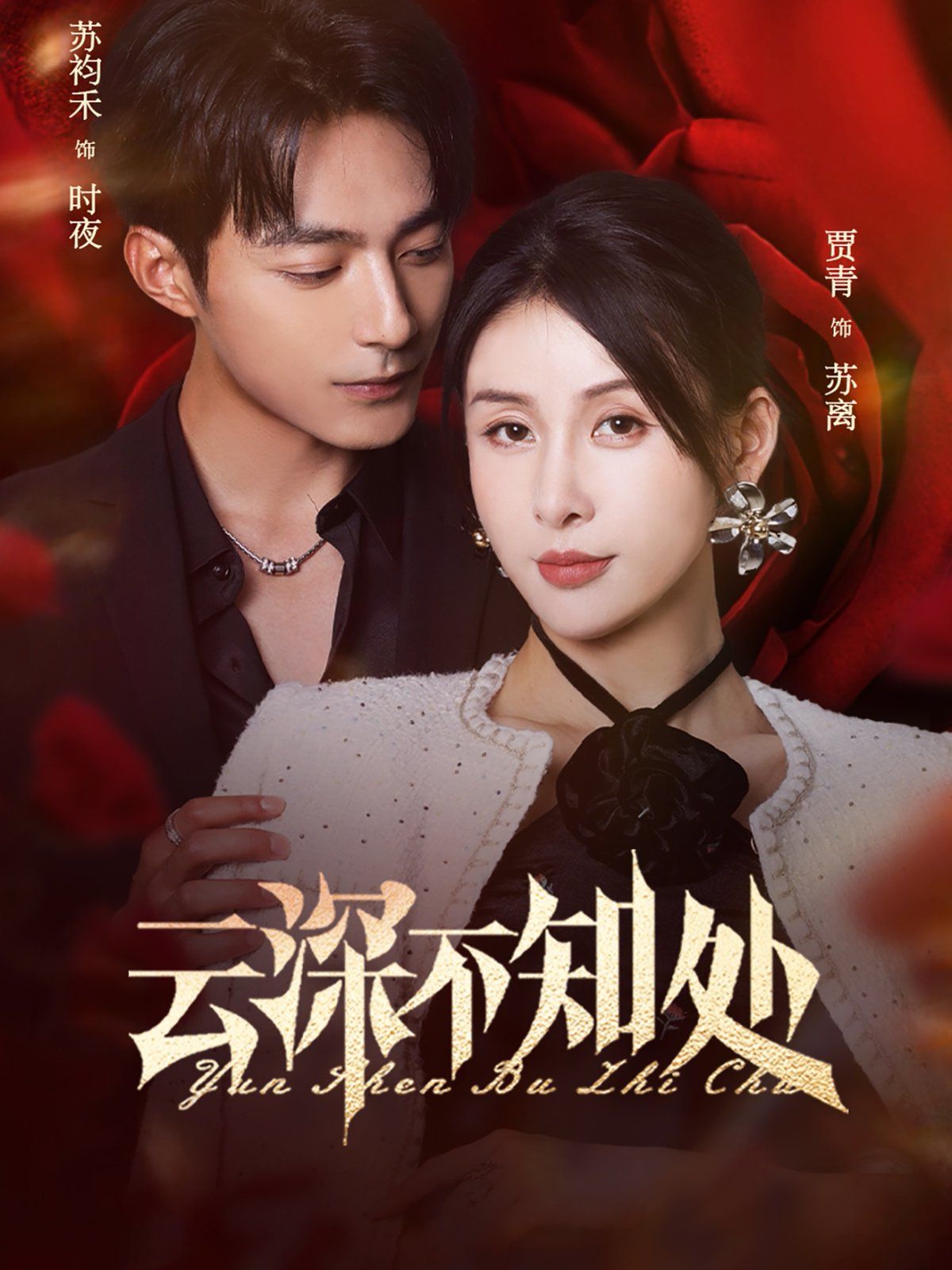 《云深不知处(2025)》高清海报 免费在线观看