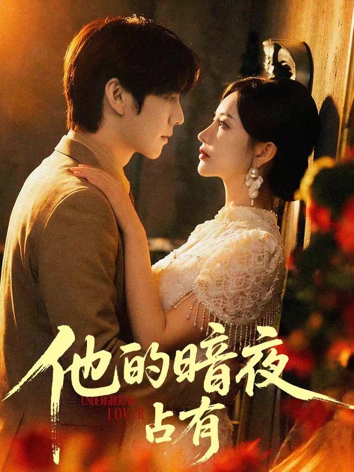 《他的暗夜占有(2026)》高清海报 免费在线观看