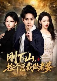 《刚下山捡个总裁做老婆(2026)》高清海报 免费在线观看