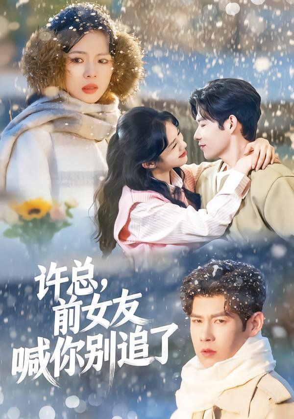 《许总，前女友喊你别追了(2026)》高清海报 免费在线观看