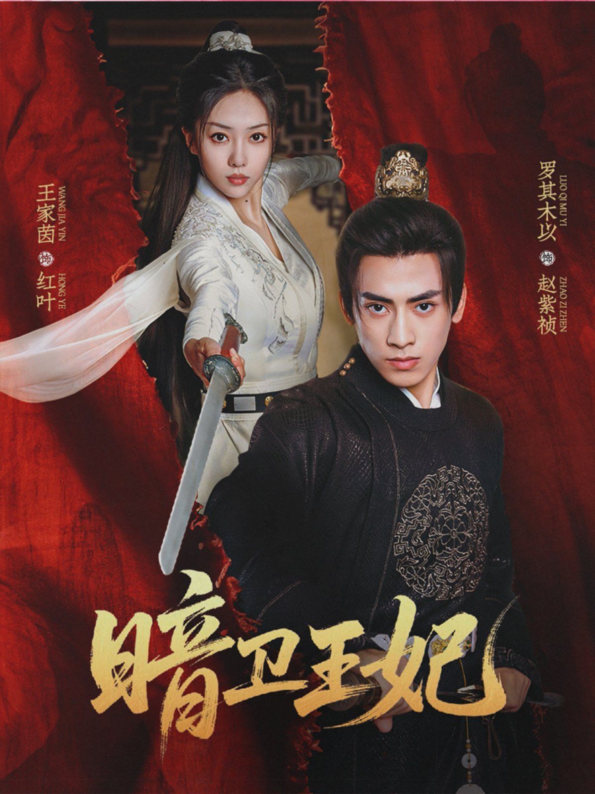 《暗卫王妃(2025)》高清海报 免费在线观看