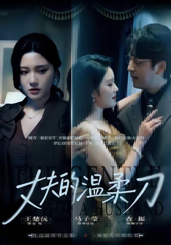 《丈夫的温柔刀(2026)》高清海报 免费在线观看