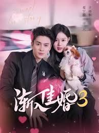 《渐入佳婚3第三部(2026)》高清海报 免费在线观看