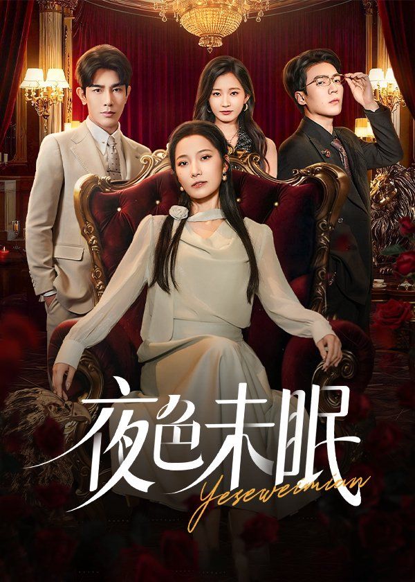 《夜色未眠(2025)》高清海报 免费在线观看