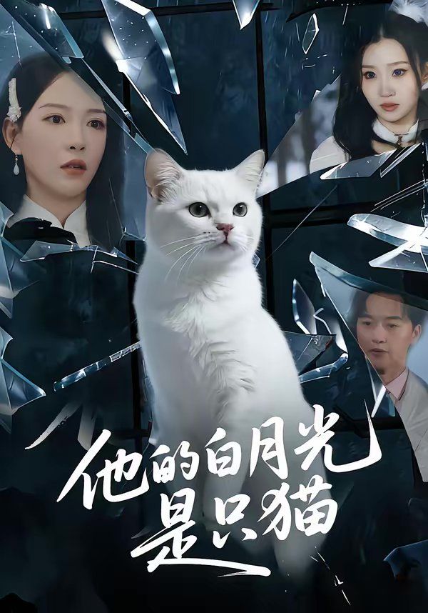 《他的白月光是只猫(2026)》高清海报 免费在线观看