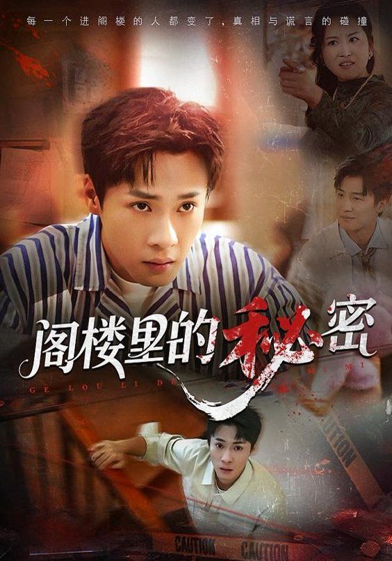 《阁楼里的秘密(2026)》高清海报 免费在线观看