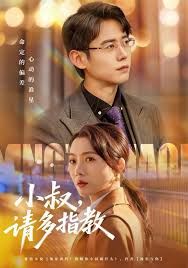 《小叔请多指教(2025)》高清海报 免费在线观看