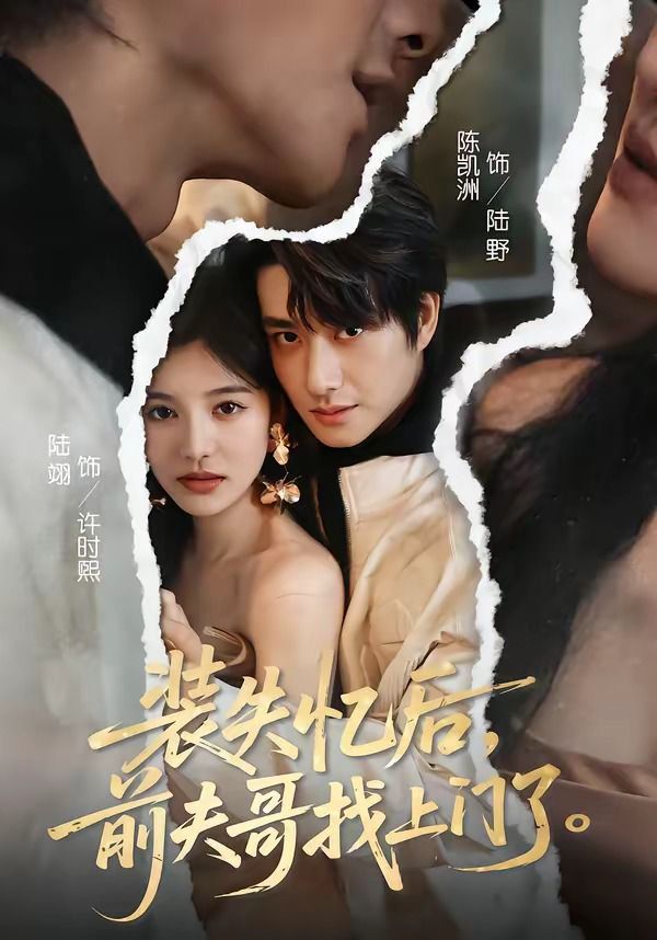 《装失忆后，前夫哥找上门了(2026)》高清海报 免费在线观看