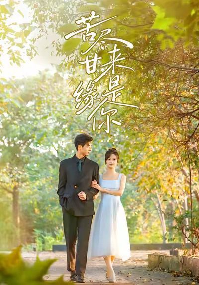 《苦尽甘来缘是你(2025)》高清海报 免费在线观看