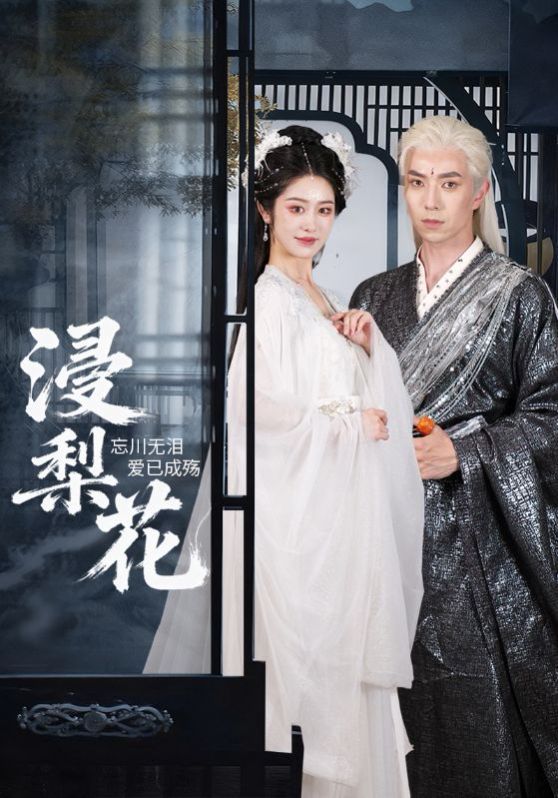 《浸梨花(2025)》高清海报 免费在线观看