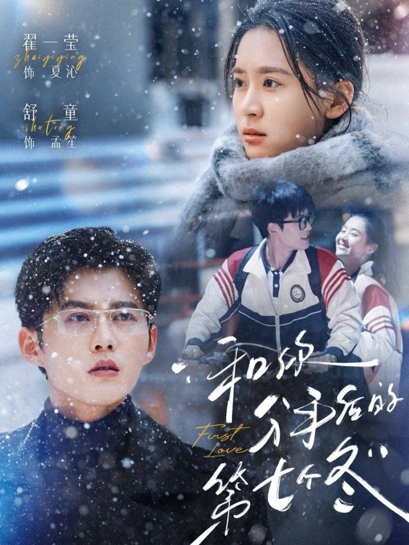 《和你分手后的第七个冬(2026)》高清海报 免费在线观看