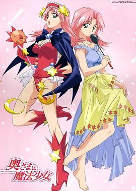 《太太是魔法少女(2005)》高清海报 免费在线观看