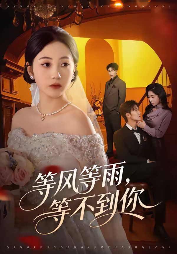 《等风等雨，等不到你(2026)》高清海报 免费在线观看