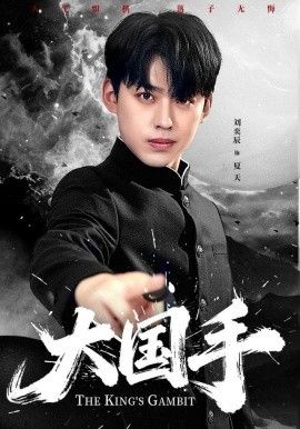 《大国手(2025)》高清海报 免费在线观看