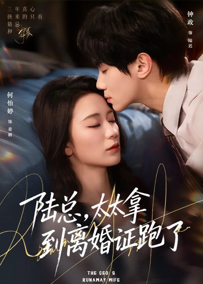 《陆总，太太拿到离婚证跑了(2026)》高清海报 免费在线观看