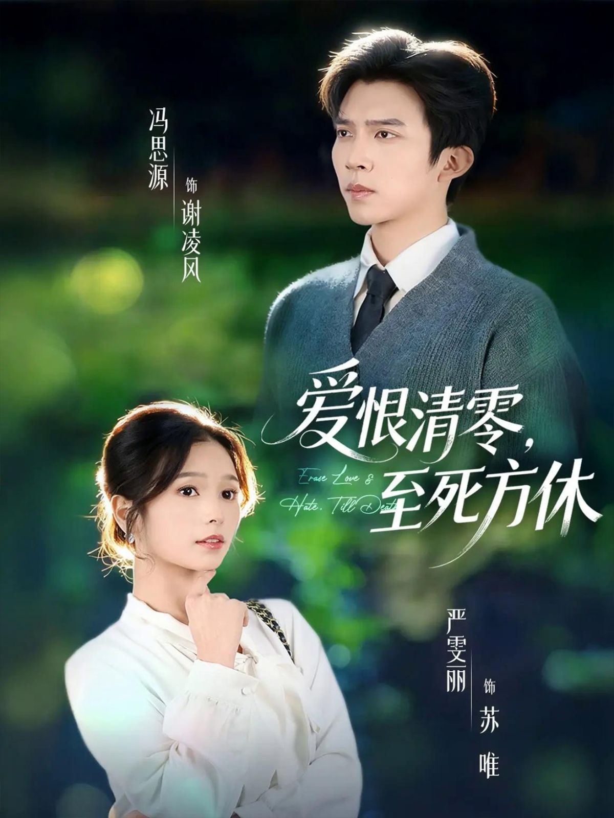 《爱恨清零，至死方休（风雪长眠旧故里）(2025)》高清海报 免费在线观看