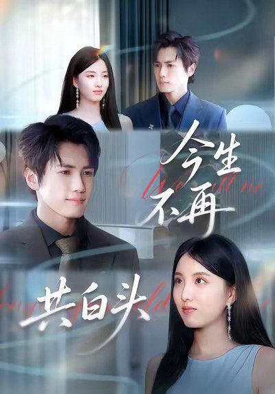 《今生不再共白头(2025)》高清海报 免费在线观看