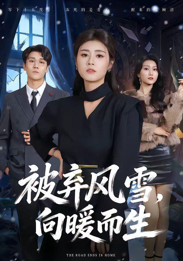 《被弃风雪，向暖而生(2026)》高清海报 免费在线观看