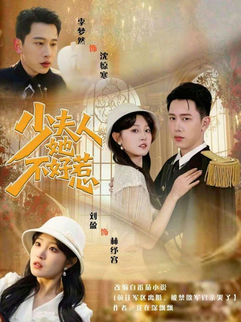《少夫人她不好惹(2026)》高清海报 免费在线观看