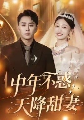 《中年不惑，天降甜妻(2026)》高清海报 免费在线观看
