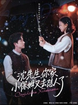 《沈先生，你家小保姆又去怼人了(2023)》高清海报 免费在线观看