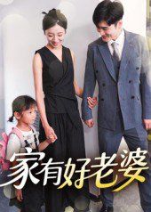《家有好老婆(2025)》高清海报 免费在线观看