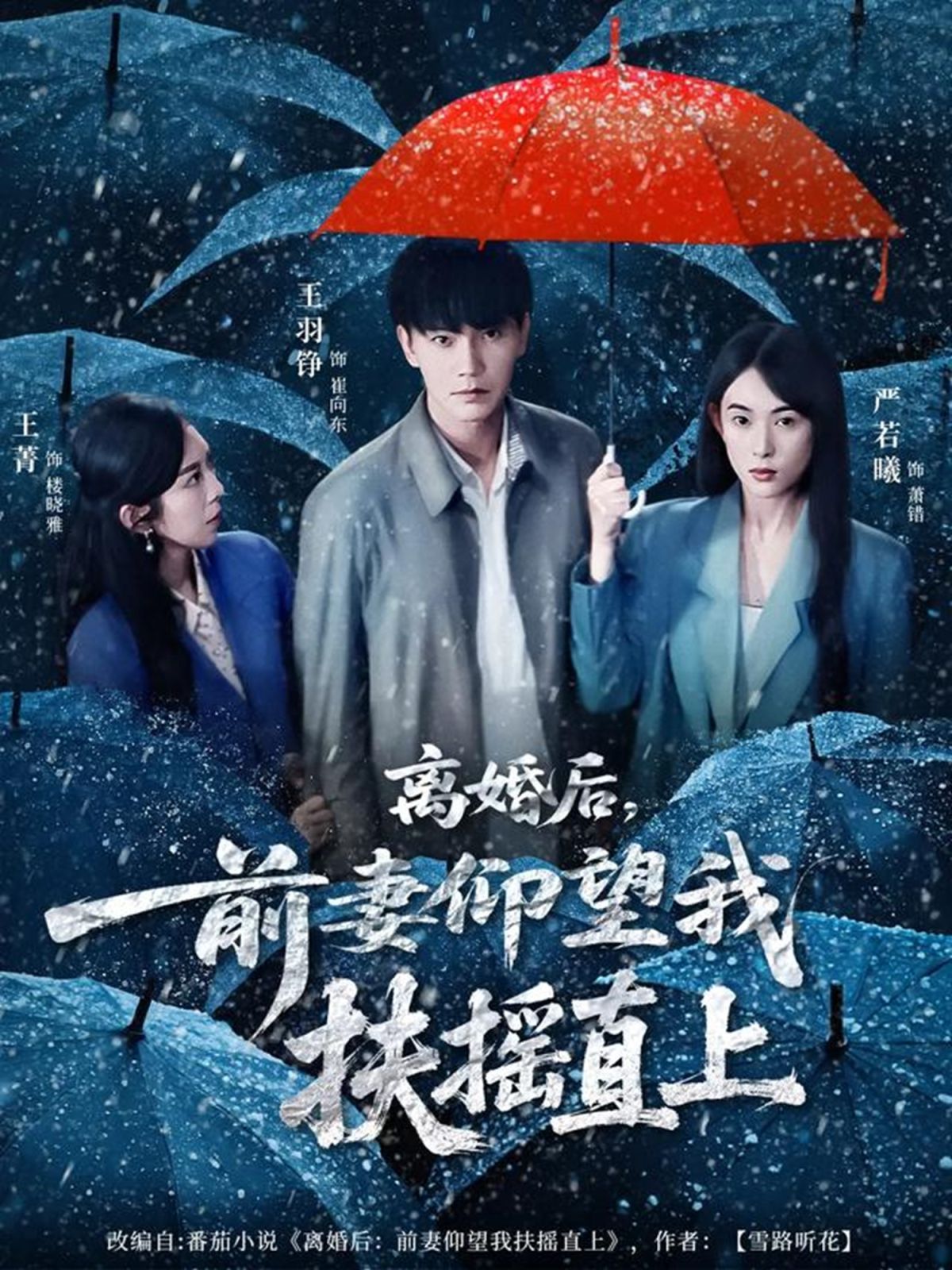 《离婚后，前妻仰望我扶摇直上(2025)》高清海报 免费在线观看