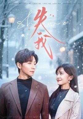 《失我(2026)》高清海报 免费在线观看