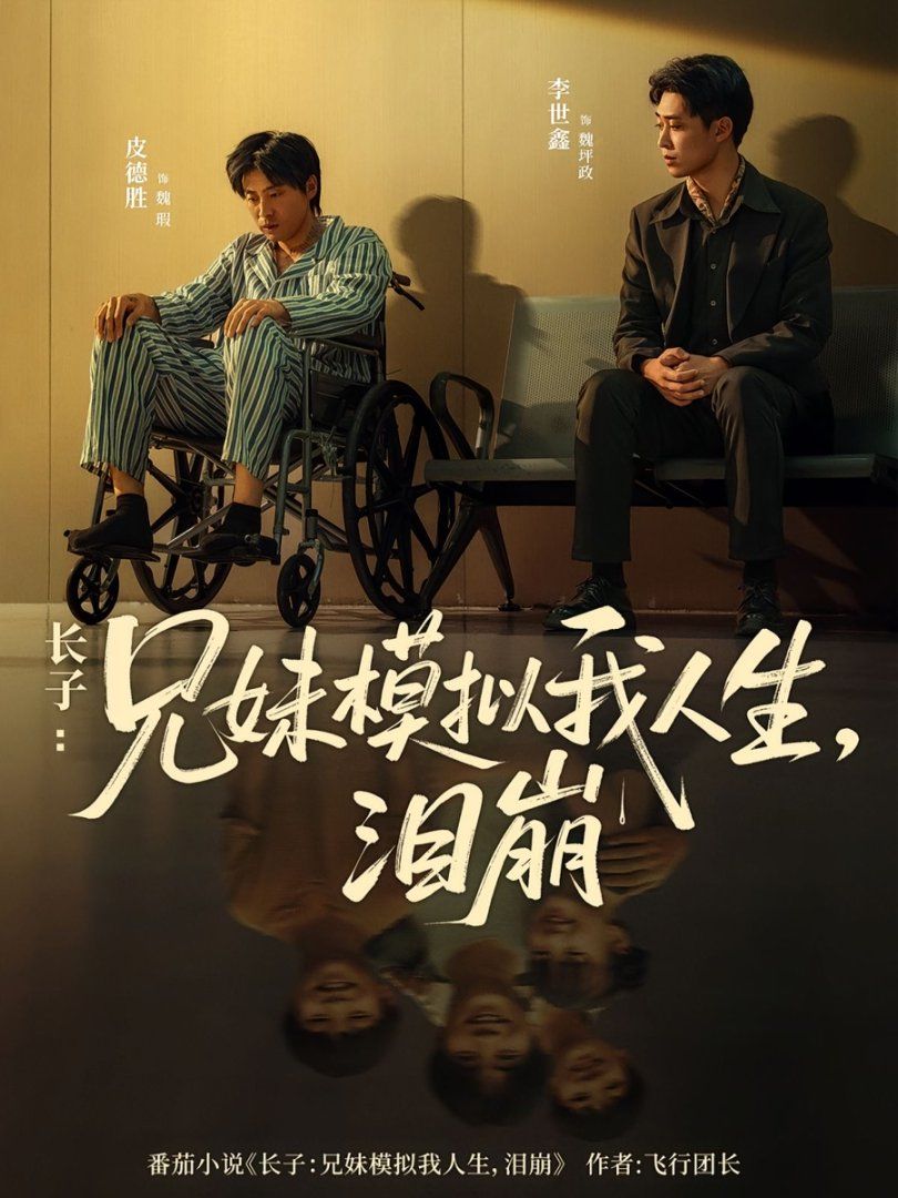 《长子兄妹模拟我人生泪崩(2025)》高清海报 免费在线观看