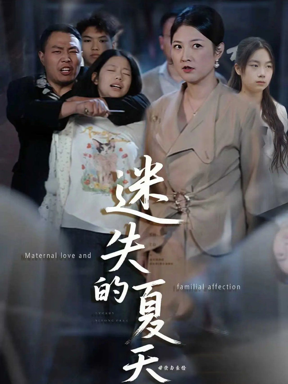 《迷失的夏天(2025)》高清海报 免费在线观看
