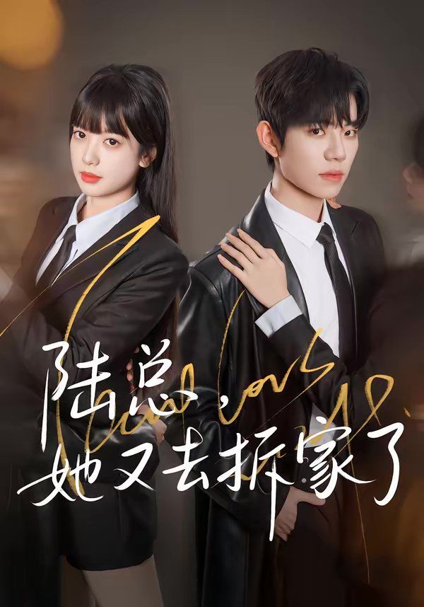 《陆总，她又去拆家了(2026)》高清海报 免费在线观看