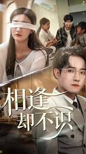 《相逢却不识(2025)》高清海报 免费在线观看