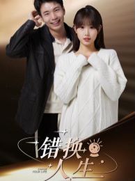 《错换人生(2024)》高清海报 免费在线观看