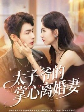 《太子爷的掌心离婚妻(2026)》高清海报 免费在线观看