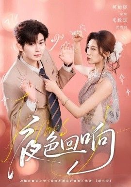 《夜色回响(2026)》高清海报 免费在线观看