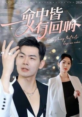 《命中皆有回响(2026)》高清海报 免费在线观看