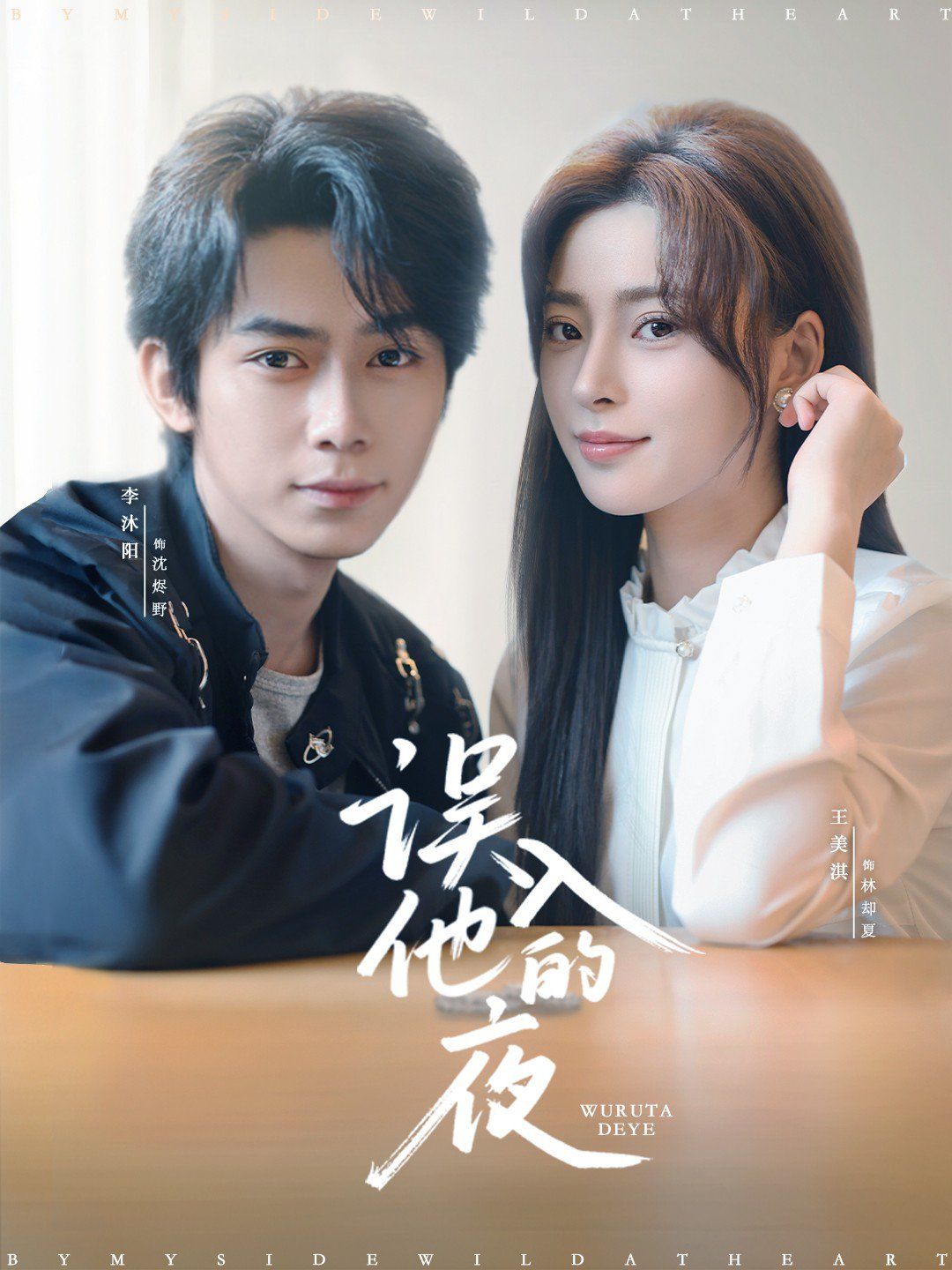 《误入他的夜（烬夏危情）(2025)》高清海报 免费在线观看