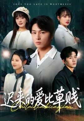 《迟来的爱比草贱(2026)》高清海报 免费在线观看