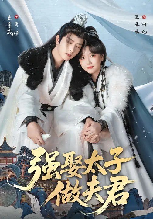 《强娶太子做夫君(2026)》高清海报 免费在线观看